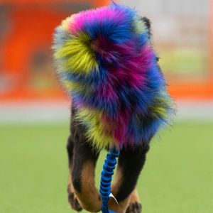 Hovedbilde Doggie-zen Knittrelomme med fuskepels