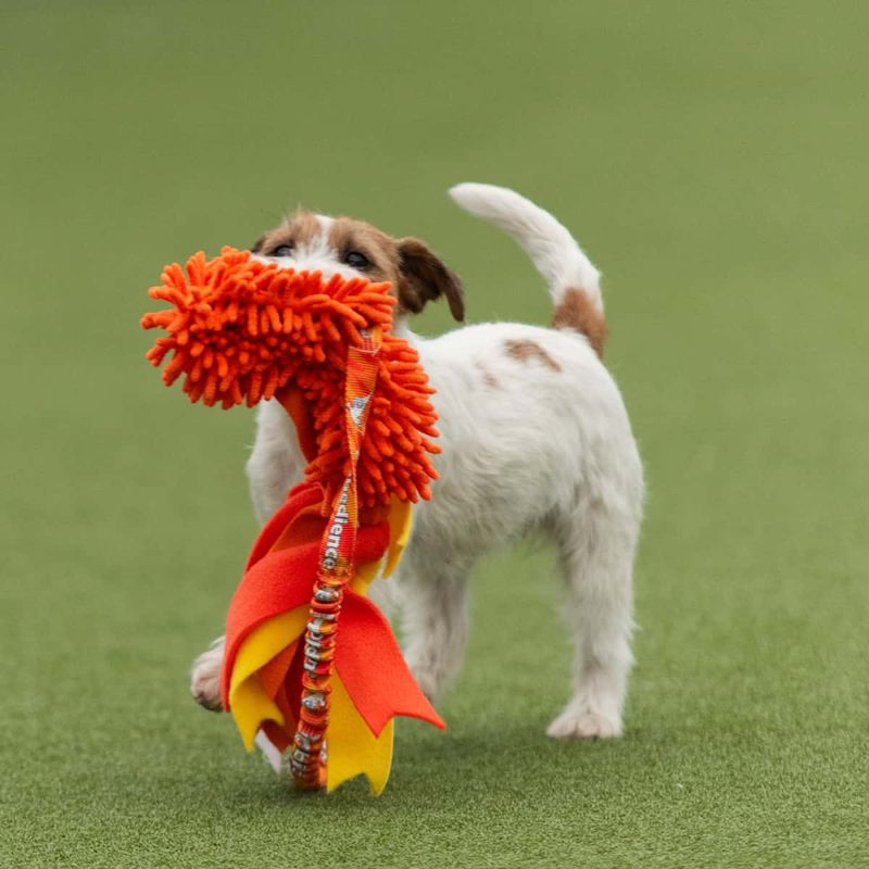 Dog's Craft Tugger Obedience