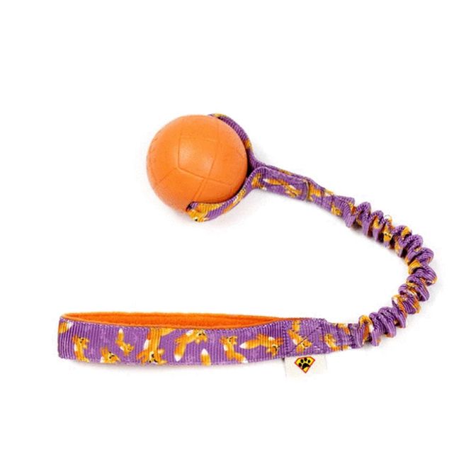 Hovedbilde Dog's Craft Hoko Fox