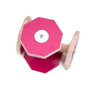 Hovedbilde Internasjonal apport til lydighet