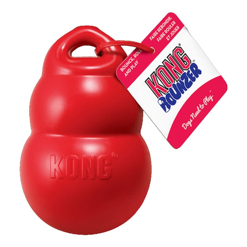 KONG Bounzer