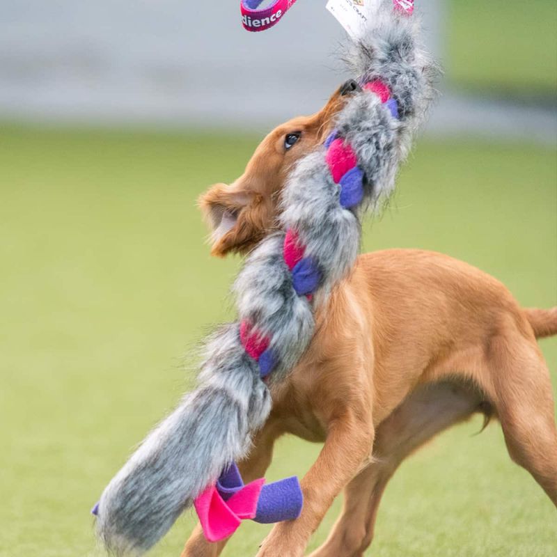Dog's Craft Tugger Obedience