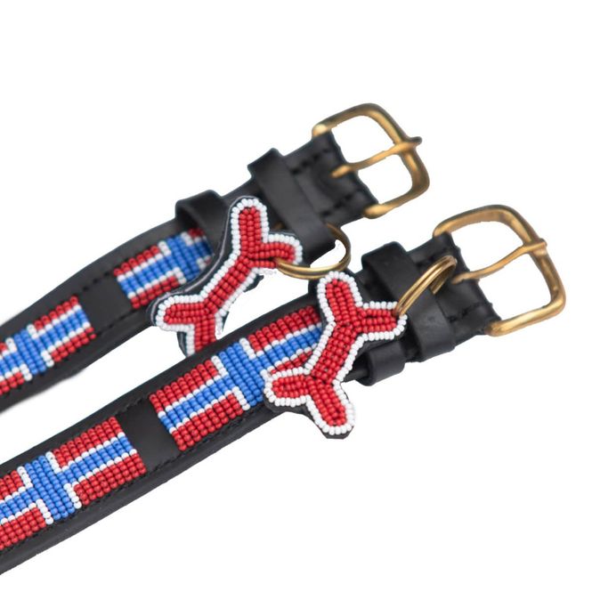 Hovedbilde Zinj Design Hundehalsbånd Norge