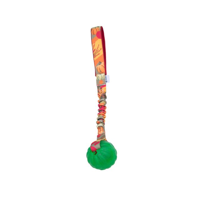 Hovedbilde Zayma Chewball autumn