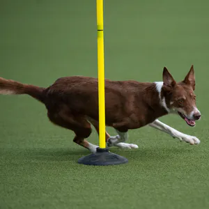 Hovedbilde Tredelt pinne