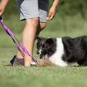 Hovedbilde Doggie-Zen Jaktleke med rev