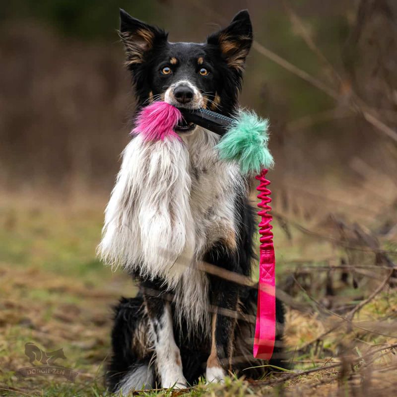 Doggie-zen Trearmet kampleke med saueskinn