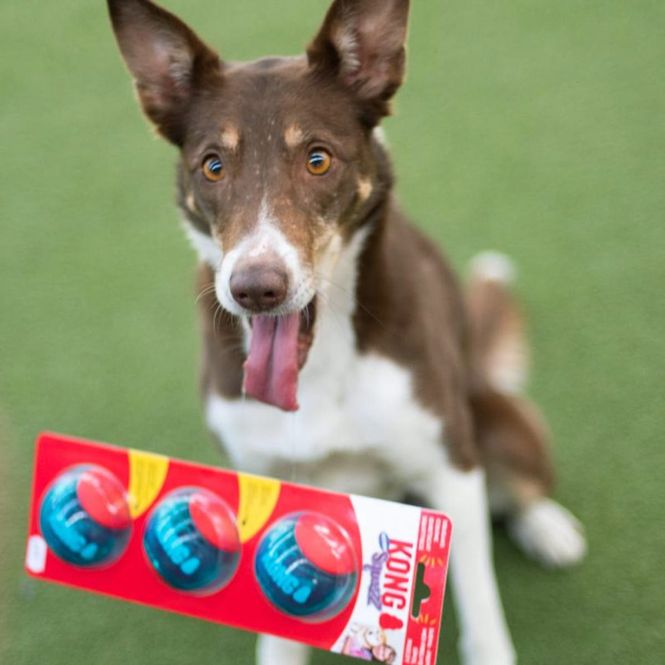 Hovedbilde KONG Squeezz Action ball