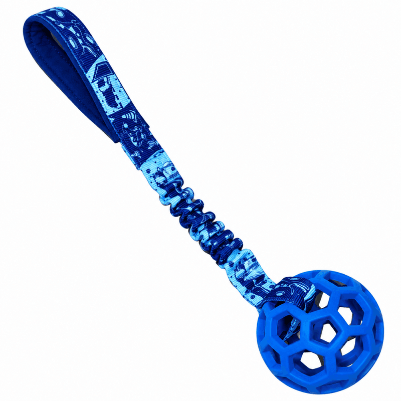Zayma hol-ee roller med sport webbing