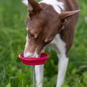 Hovedbilde Reward-stick i galvanisert st&aring;l
