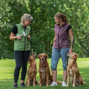 Hovedbilde Hundlands Treningsvest SPORT