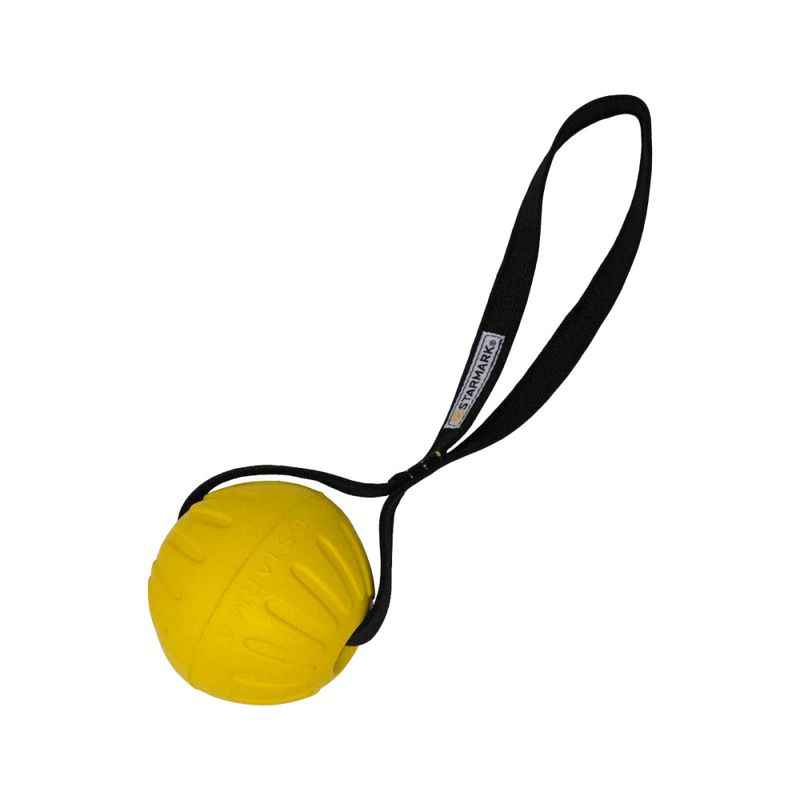 Starmark Gripcord durafoam ball