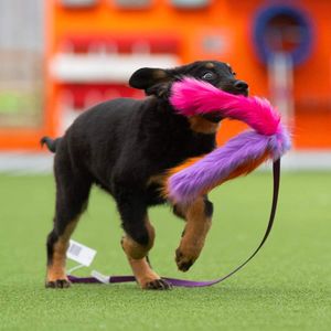 Hovedbilde Doggie-zen Lang trearmet jaktleke