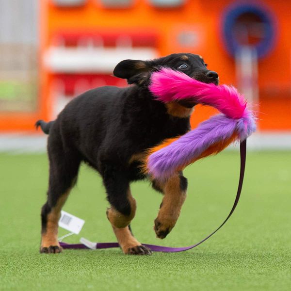 Doggie-zen Lang trearmet jaktleke