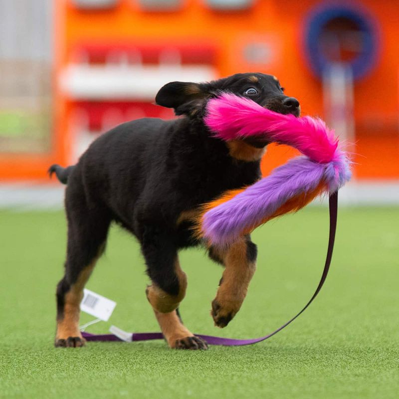 Doggie-zen Lang trearmet jaktleke