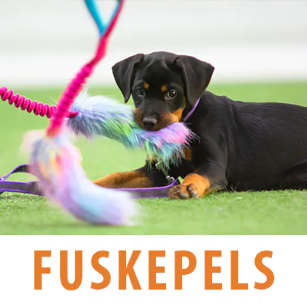 leke med fuskepels til hund