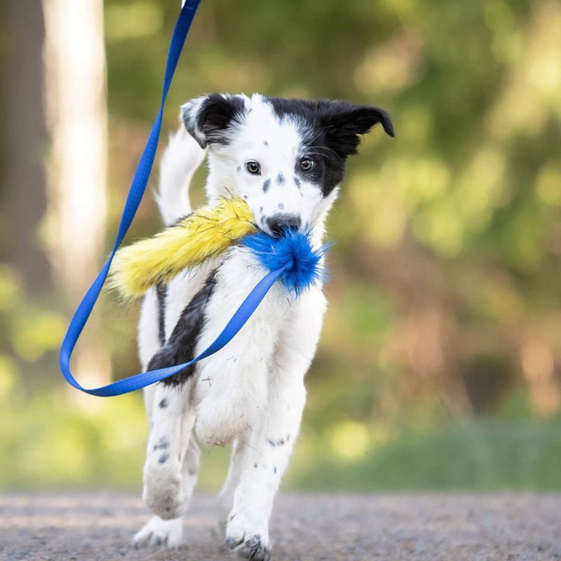 Doggie-Zen Blekksprut jaktleke med sau og kanin