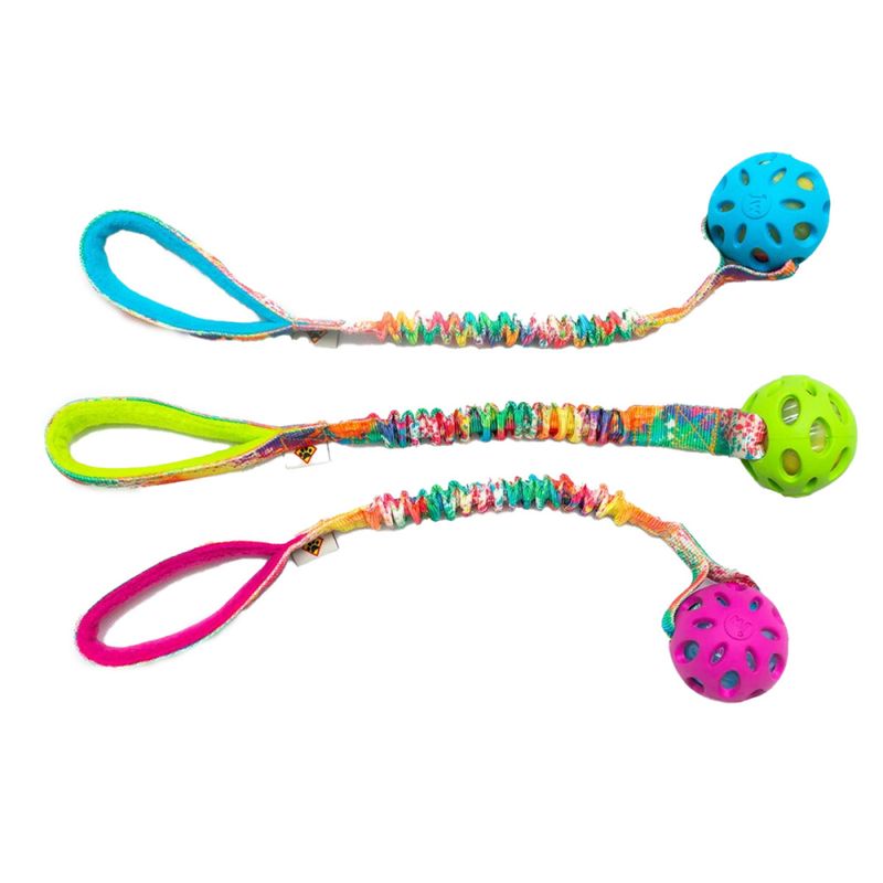 Dog's Craft Crackle