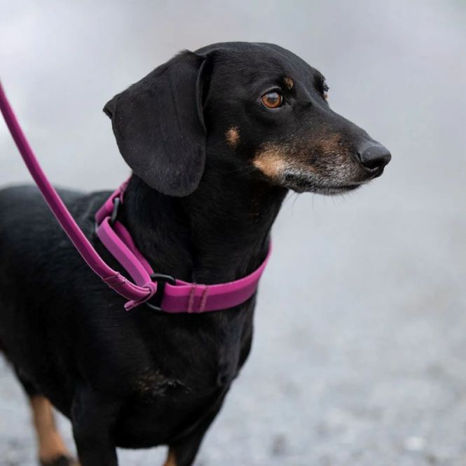 Hovedbilde HUNDLANDS slip set