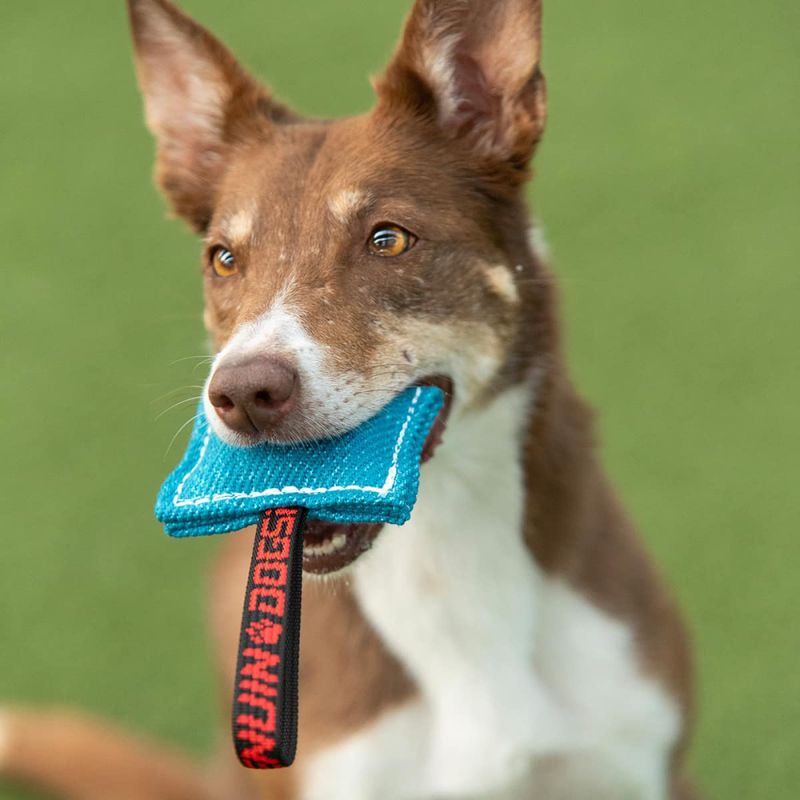 Genuin Dogsport mini-minibitepute