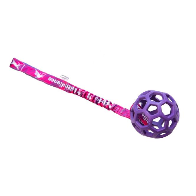 Hovedbilde Dog`s Craft Hol-ee Roller obedience